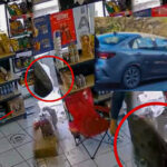 Instantes de terror: llanta impacta tienda en Santiago y joven se salva por segundos.