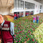 Manuel Guerra Cavazos festeja el Día del Amor en García con la entrega de miles de flores