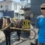 Hombre es detenido por crueldad animal; lo sorprenden agrediendo a un caballo en la vía pública