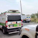 Ataque de abejas en Guadalupe deja a varios menores y trabajadores lesionados