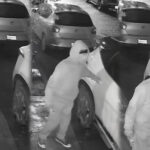 Captan a sospechoso intentando abrir autos en Guadalupe; vecinos exigen vigilancia