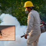 Lluvias elevan riesgo de dengue en el estado: Cómo identificar y prevenir el contagio