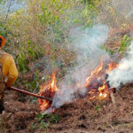 Entre el Mundial y el calor: el riesgo de incendios se dispara en el Estado