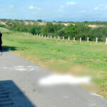 Localizan mujer sin vida en la autopista a Reynosa; investigan posible feminicidio